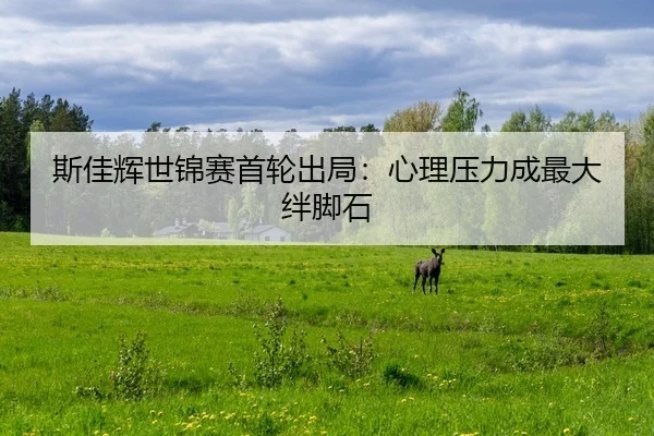 斯佳辉世锦赛首轮出局：心理压力成最大绊脚石