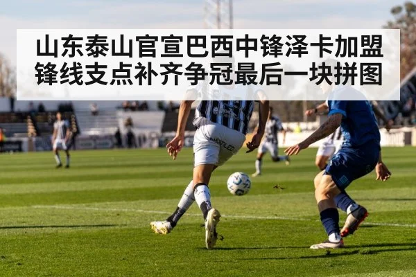 山东泰山官宣巴西中锋泽卡加盟锋线支点补齐争冠最后一块拼图