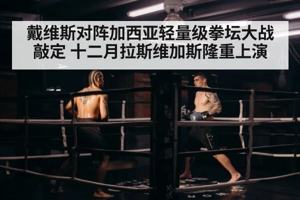 戴维斯对阵加西亚轻量级拳坛大战敲定 十二月拉斯维加斯隆重上演